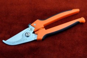 Pruning shears Due Cigni