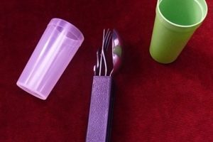 Fox Picnic set