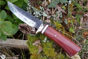 Couteau de chasse Citadel Trappeur