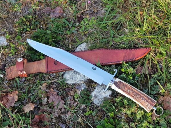 Citadel bowie