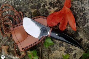 Knife Citadel Papoose Buffalo Horn