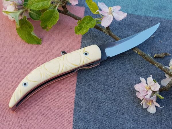 Citadel Folding knife