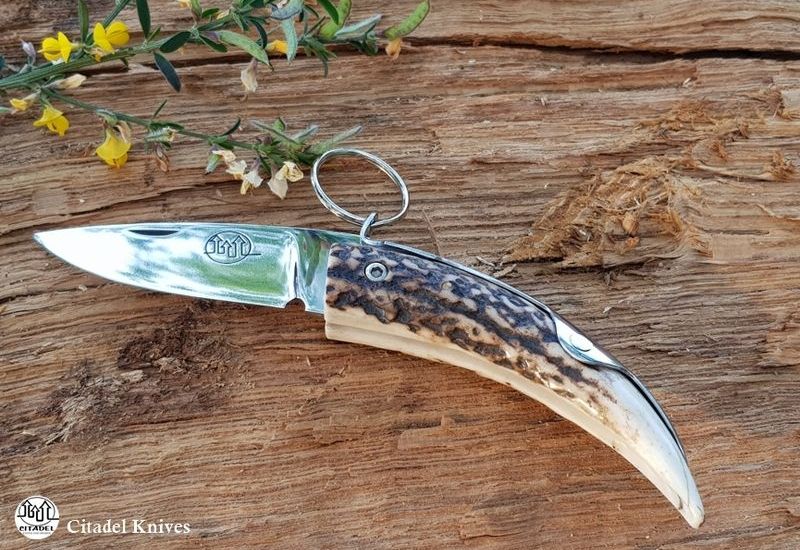 gitano-stag couteau de poche Ciatdel