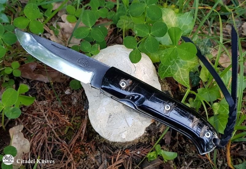 Danang-corne Couteau Pliant Citadel