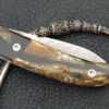 Citadel folder