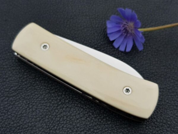 Citadel liner lock pocket knife