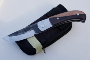 Citadel Buddy Troyeng – Couteau de Poche à Fricton