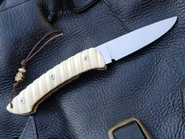 Citadel liner lock folder