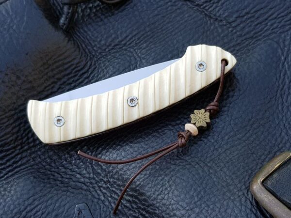 Citadel folder