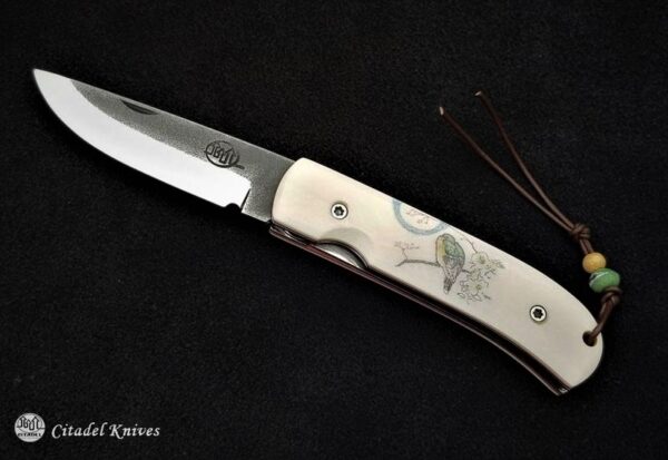 Citadel fidel folder