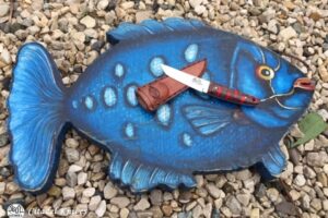 Citadel “Mushroom Culburra”- Fixed Blade Knife.