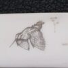 Citadel folder