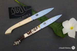 Citadel “Set of 2 Steak Knife”- Fixed blade knife