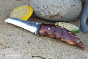 Citadel “Leonardo Chamreak”- Folding knife