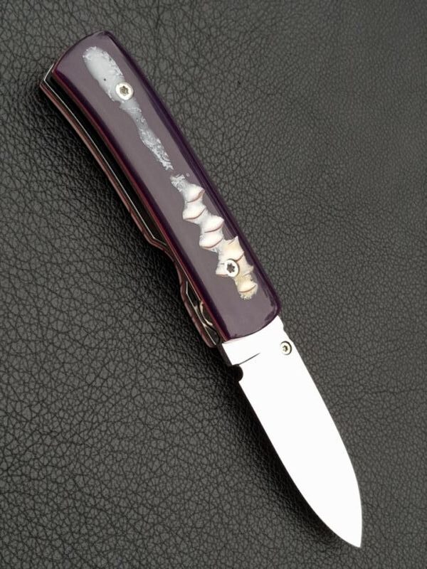 Citadel folder