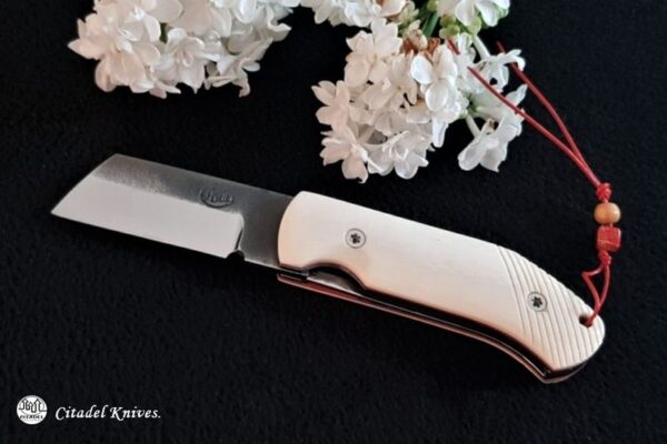 Citadel Giaponino folder