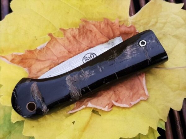 Citadel friction pocket knife