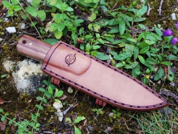 Couteau chasse Citadel
