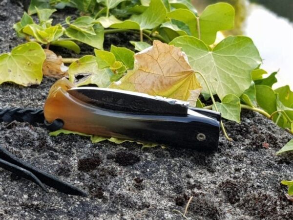 Citadel friction folder