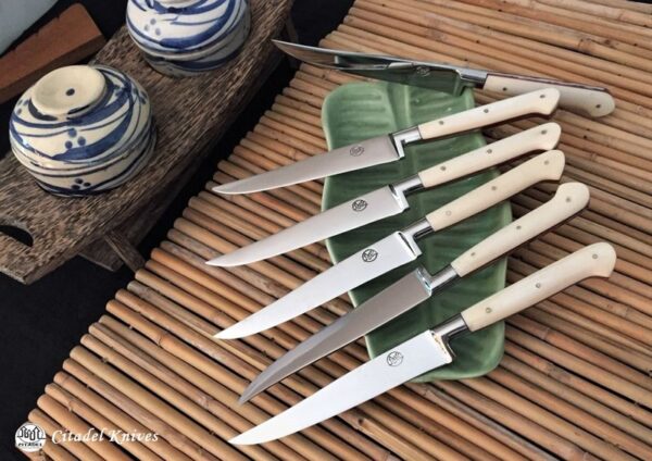 Citadel steak knife