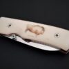 Citadel folder