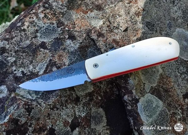 Citadel friction folder