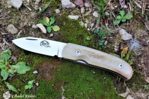 Citadel “Coubi Bélier”- Folding Knife.