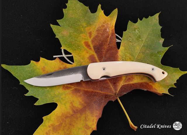 Couteau pliant Citadel