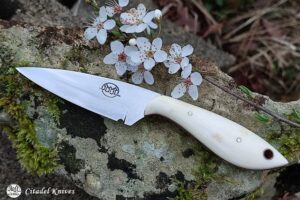 Citadel Trey Chong Va BONE- Fixed Blade Knife.