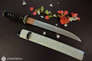 Citadel Tanto “CHIDORI”- Couteau Japonais.