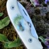 Citadel pocket knife