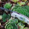 Citadel folding knife