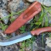 Citadel knife