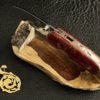 Citadel pocket knife