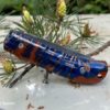 Citadel pocket knife