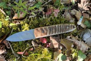 Branwen “DURANGO” Corne de belier- Couteau de poche.