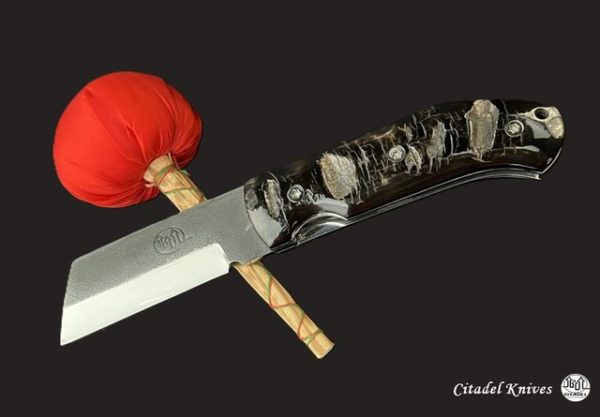 Citadel Torpedo