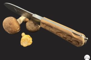 Branwen large “MUSHROOM”- Couteau de poche.