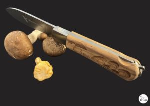 Branwen pocket knife