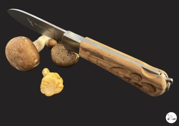 Branwen pocket knife