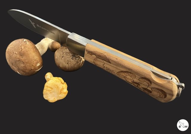 Branwen pocket knife