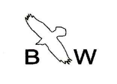 Branwen