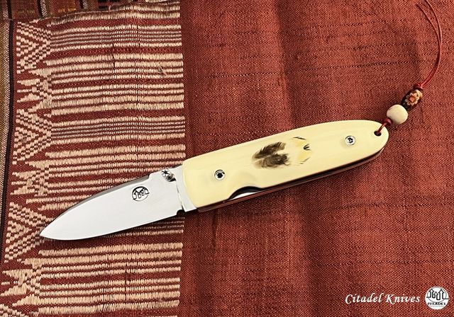 Citadel-liner-lock-folder-feather-inoxydable